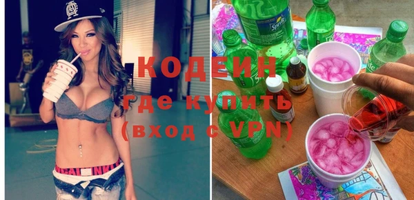 мдпв Карпинск