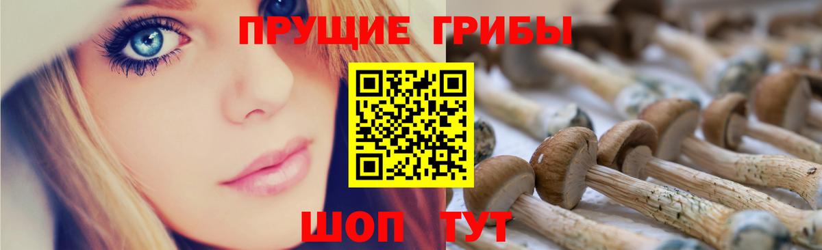 Галлюциногенные грибы Psilocybine cubensis  Галлюциногенные грибы прущие грибы  продажа наркотиков  Карталы  Вход с VPN 